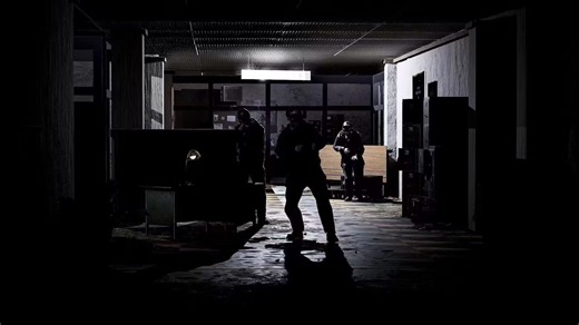 Rust使用Sumi芯片加想象力瞄准=？