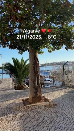 Algarve in Winter #algarve #algarveportugal🇵🇹 #algarveportugal #portugal🇵🇹viral #algarveportugal