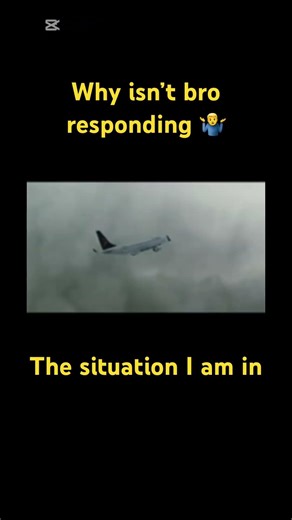 Air Astana airlines flight 1388(fluxwave)