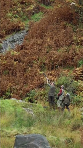 Driven Bird Shooting in Wales