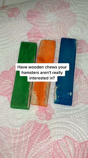 Hamster chew hack! #hamster #hamsters #syrianhamster #hamstercare #hamsterdiy #hamstersoftiktok #petvlog #petsoftiktok