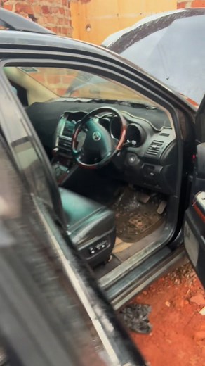 Jesus is lord | Saviour Bee