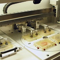 Rapid Identification of Chemical Genetic Interactions in Saccharomyces cerevisiae
