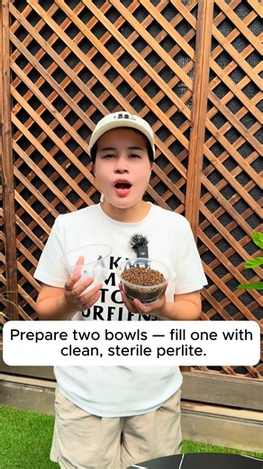 1.5K views | Two easy ways to propagate plants #gardeningislife #gardeningtherapy #gardeningknowhow #gardeningseason #gardeningismytherapy | Gardenning Moment | Facebook