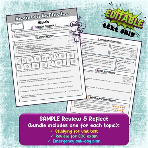 Mitosis PowerPoint Slideshow   Guided Notes   Study Guide