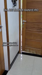 Dia da faxina, quem limpou o banheiro foi a patroa #comédia | Cyda Teles