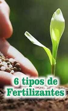 6 types of fertilizers