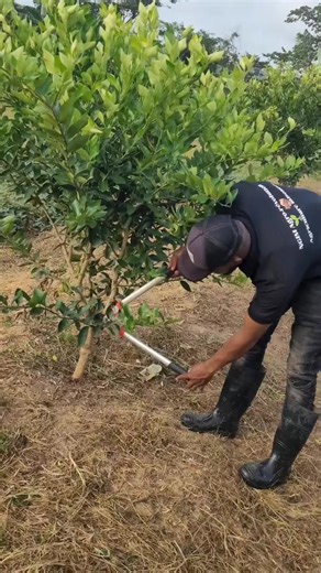 Vidéos de Roi Cobraa (@roi.cobraa) avec son original - Roi Cobraa