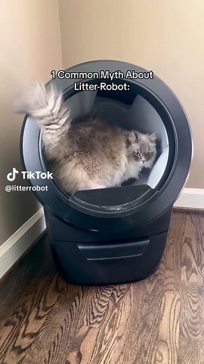 Best Cat Litter for Litter Robot: Top Picks for Your Feline Friend