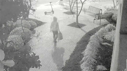 Nike shoe model provided clue in arrest of pipe bomb suspect