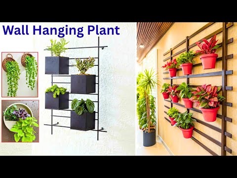 Beautiful Wall Hanging Plants and Planter Ideas