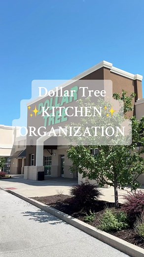 Dollar Tree ✨kitchen✨ organization hacks! 💕Which idea was your favorite?! 🤩📸👇🏻 SHOPPING list: 🛒 Dollar Tree Can Dispenser Bins 🛒 Dollar Tree Clear Clip on Baskets 🛒 Dollar Tree Cabinet Towel Bar 🛒 Dollar Tree Dish Rack *not a dish drying rack* #diy #organization #organizationideas #dollartree #hack #homehacks #home #homedesign #diyproject #tutorial #hacks #dollar #kitchen #lifestyle #lifehacks #organize
