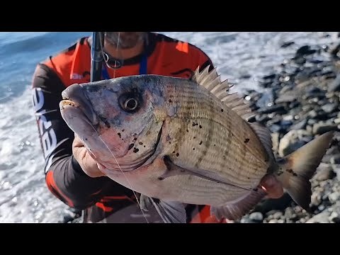 PESCA SURFCASTING EN PIEDRA(TREMENDA JORNADA) SURFCASTING GRANADA