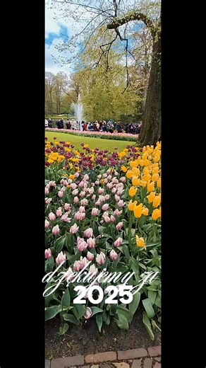 2025 rok zbliża się milowym krokiem ku końcowi 😍. To czas wspomnień i podsumowań oraz nadziei 💚. Z całego serca dziękujemy Wam Kochani, za to, że tak licznie w 2025 roku wyruszyliście z nami w drogę 🌍💙 To dzięki Wam każda wycieczka Biura Podróży SYLVIA miała swój niepowtarzalny klimat – pełen uśmiechu 😊, ciekawości świata 🧭, życzliwości 🤝 i wspólnych chwil, które zostają w pamięci na długo 📸✨. Dziękujemy za zaufanie, którym nas obdarzyliście, za punktualność mimo wczesnych pobudek ⏰😄, z