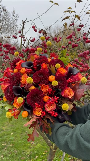 Introducing the NEW Rose “Fire Fly” Now available in limited stems. Larger quantities expected next year. Stay tuned 🔥 | Interplant Roses B.V.