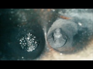 Best Intake Valve Carbon Remover for Engines with Direct Port Injection Tested