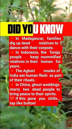 Aghori monks in India eat human flesh in rituals.