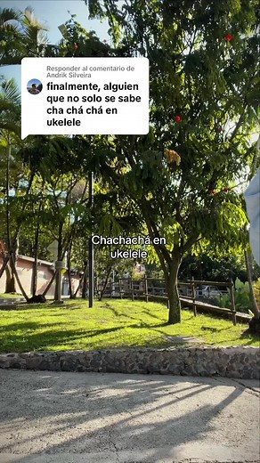 Chachachá en Ukulele - Más Ritmo y Alegría en tu Día