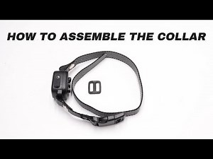 【RICIVI Anti-Bark Collar Tutorial】Step-by-Step Guide to Assembling an Anti-Bark Collar!