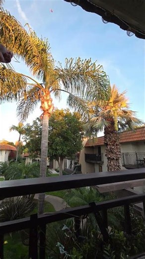 Speed Rocket Paper Plane High Altitude Flight To The Sky