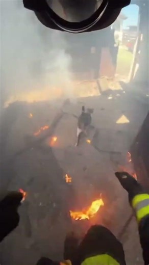 Firefighter follows cat GoPro