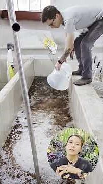 How I Process Washed Coffee in Guatemala #specialtycoffee #coffee #fermentation #coffeeprocessing