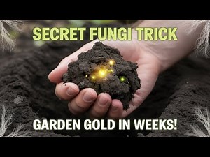 The Fastest Way To Turn Rotting Fungi Into Black Rich Humus - This Will BLOW Your Mind!