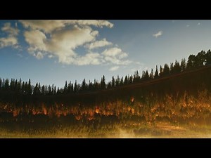 DTS Nature | 4K + DTS:X Demo