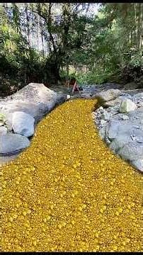 Discovery of Super Rich Gold Fields in Inland Rivers #findgold #golddiscovery #goldmine
