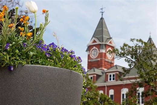 Auburn Ag Online | College of Agriculture