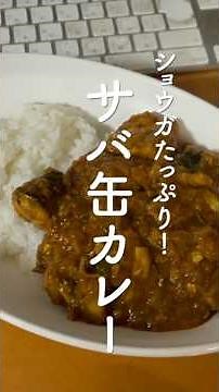 ショウガたっぷり！サバ缶カレー #カレー #鯖の水煮缶 #shorts