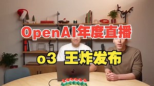 「第12期」OpenAI年度直播Day12，o3王炸发布（中英文双语字幕）程序员