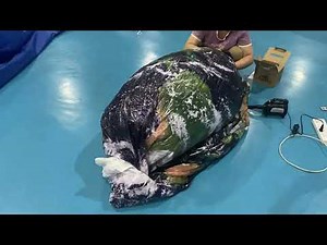 How to Assembly‌ THIS Inflatable Earth Globe | SAYOK Inflatable Tutorials