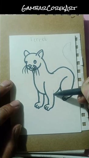 “Cute Ferret Drawing” shorts, drawing, cute