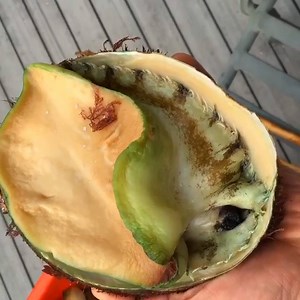 3.2M views · 7.7K shares | The world's best chef can make anything delicious. | Insider | Facebook