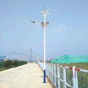 [Hot Item] Wind Hybrid Power Turbine Wind Solar Hybrid Solar LED Street Light