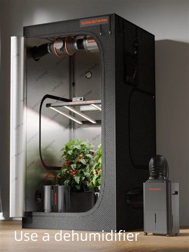 Winter Indoor Growing Solutions for Healthy Plants