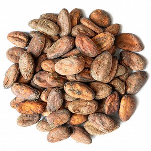 Organic Cacao Beans Buy in Bulk from Food to Live