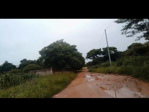 HOW TO SURVIVE IN ZAMBIA, RURAL VILLAGE LIFE