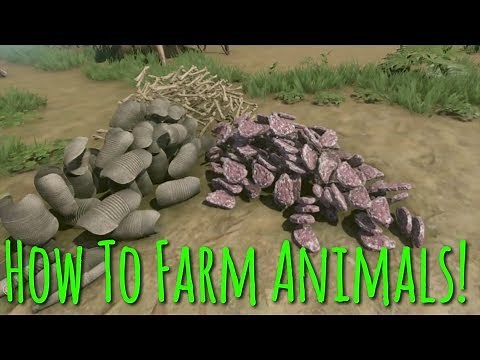 How To Farm Meat/Bones/Armadillo Shells! | Green Hell