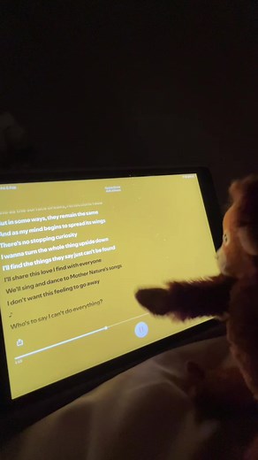 Curious George Songs on Spotify: Lyrics and More