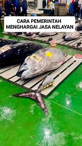 2.3M views · 42K reactions | Pelelangan ikan toyosu fish market #ikan #nelayan #ikantuna #peternak #budidaya #laut #hasillaut #ikanpredator #ikanmonster #ikanunik #mancing #memancing | RaptorFish | Facebook