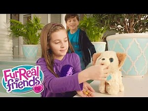 FurReal Friends Nederland - Pax en Kami Moeten Nodig