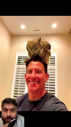 Owl catching and recovering from illness #shortsfeed #love #birdlovers #birdtrend