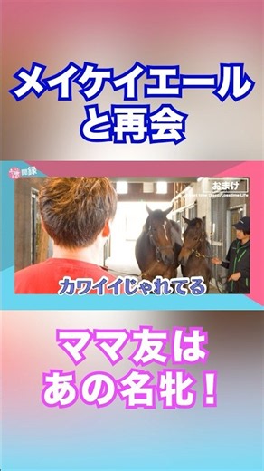 メイケイエールと池添騎手が再会！ ママ友の名牝とは？ #shorts #池添謙一 #クロノジェネシス #horse #競馬