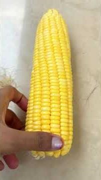 Sweetcorn & cornsilk🌽 benefits |My Organic vegetables harvest |Natural gardening|