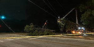 Large tree takes out power lines, blocks intersection in northeast Atlanta