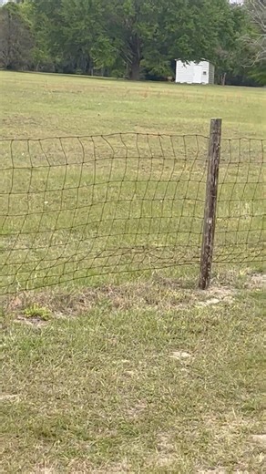 5.7K views · 14 reactions | Florida hunting lease now available on...