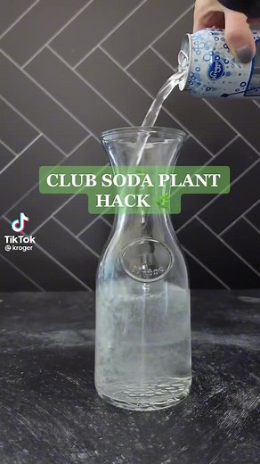 The Fairy Gardening Hoe on TikTok