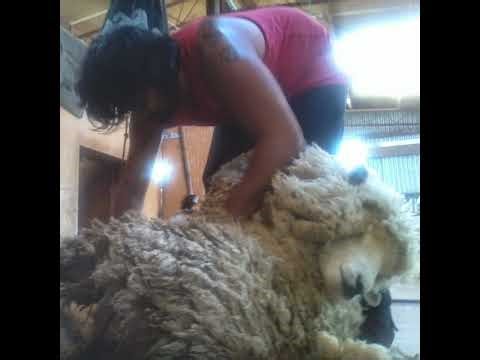 Playing rec room dorm room pvp